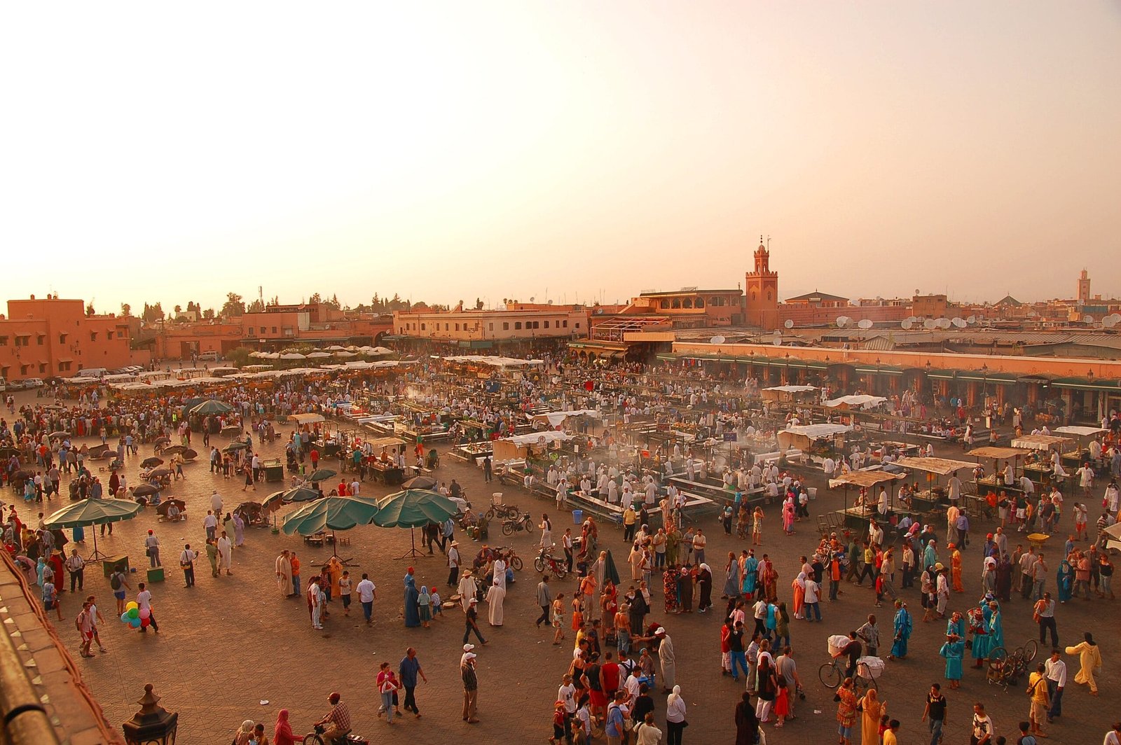 activities in marrakech